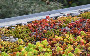 the cost of Llanfallteg green roof installation