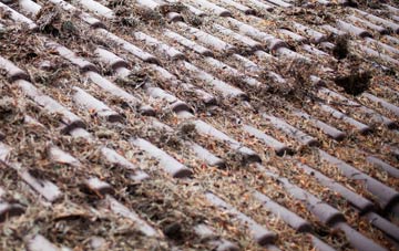 Llanfallteg roof cleaning companies